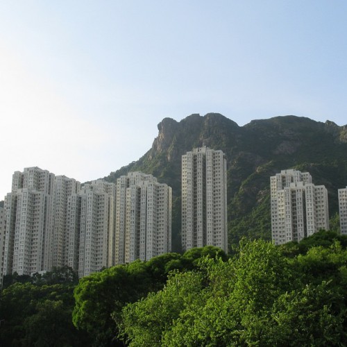 (綠表) 黃大仙 翠竹花園 大型居屋
