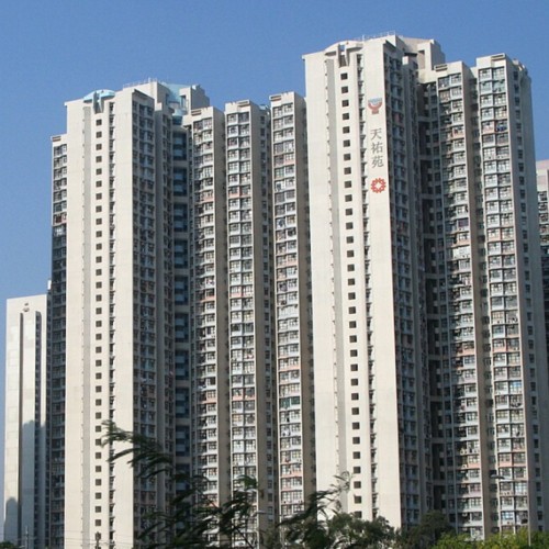 (綠表) 天水圍 天祐苑 換樓首選