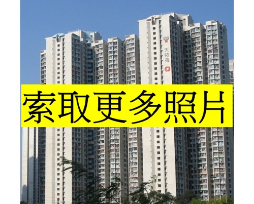 (綠表) 天水圍 天祐苑 換樓首選