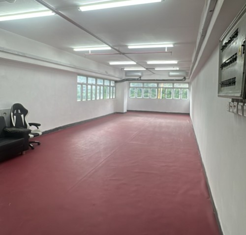 火炭 峰達工業大廈 市場罕有