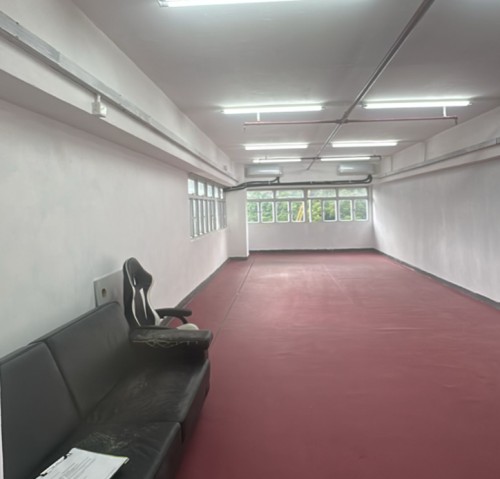 火炭 峰達工業大廈 市場罕有