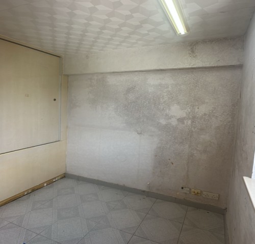 (Green Form)  Po Lam Estate