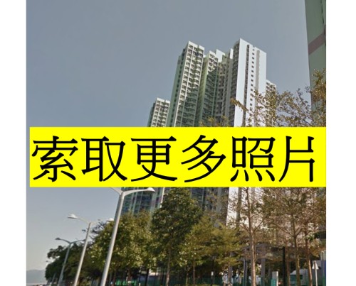 (綠表) 馬鞍山 錦豐苑 罕見綠表